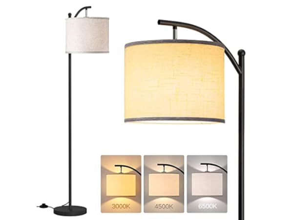 The 10 Best Floor Lamps For Bedroom Of 2024 Reviews FindThisBest   41XQAWA9M L.  CR0,0,600,450 