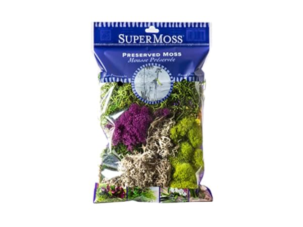 Floral Moss Thumbnail
