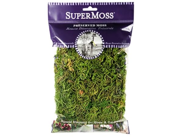 Floral Moss Thumbnail