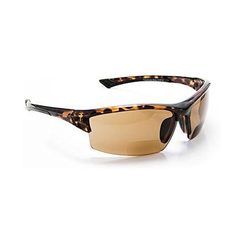 FLORIDA GLASSES thumbnail