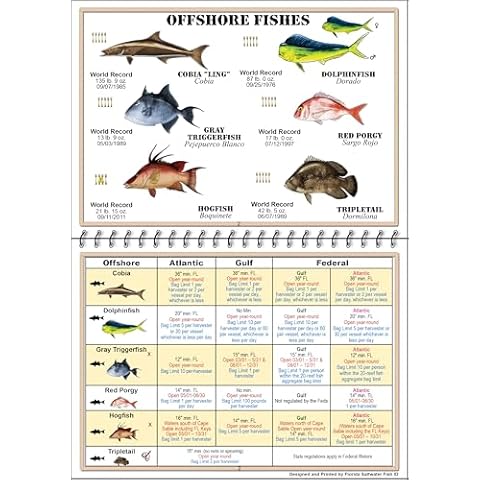 Florida Saltwater Fish ID thumbnail
