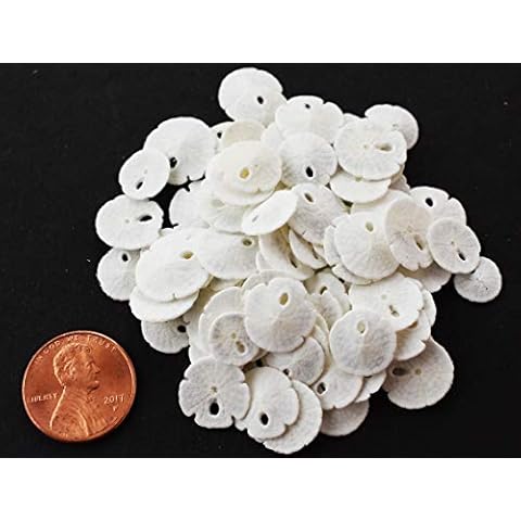 Florida Shells And Gifts Inc. thumbnail