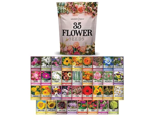 Flower Seeds thumbnail