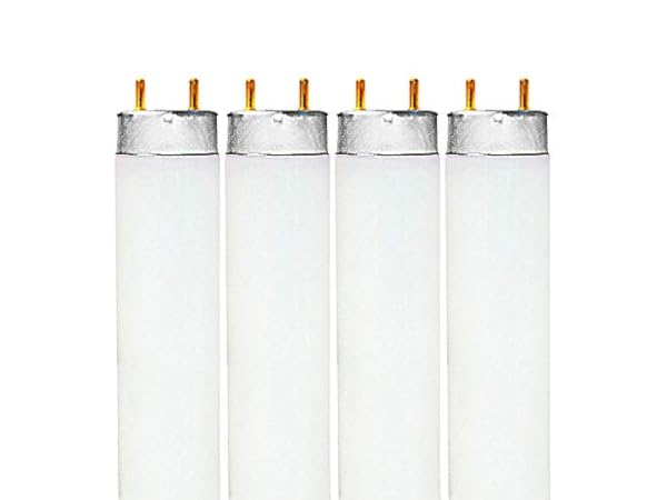 Fluorescent Light Bulbs Thumbnail