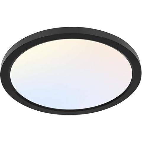 Flush Mount Ceiling Light Fixtures