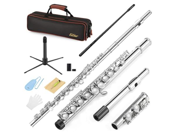 The 10 Best Flutes Of 2024 (Reviews) - FindThisBest