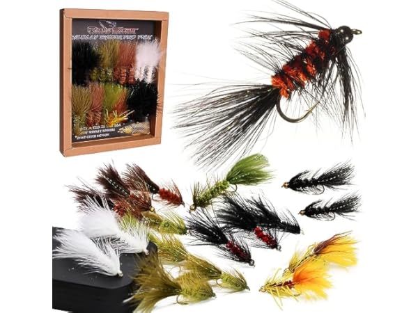 The 10 Best Fly Fishing Wet Flies of 2024 (Reviews) - FindThisBest