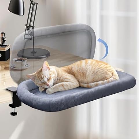Foldable Cat Beds