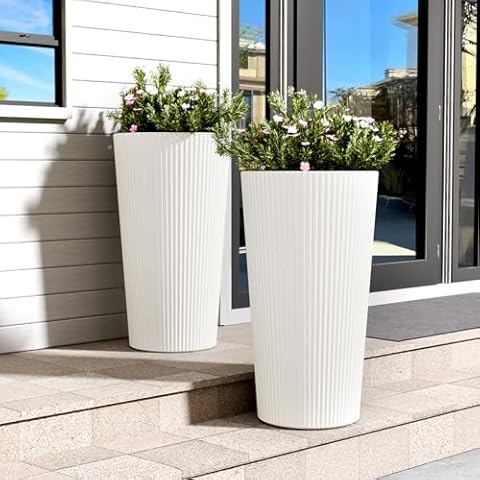 FONTOI feature image