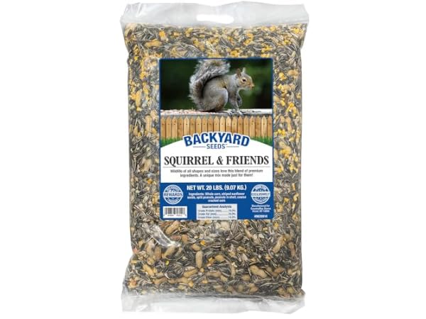 The 10 Best Food for Bird of 2026 (Reviews) - FindThisBest