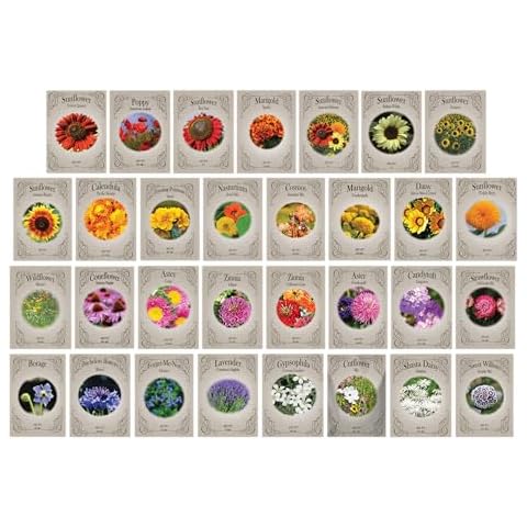 Freedom Farms thumbnail