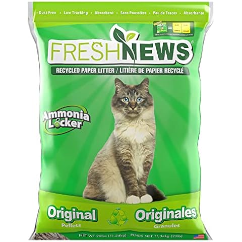 Fresh News thumbnail