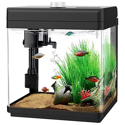 Freshwater Fish Tanks