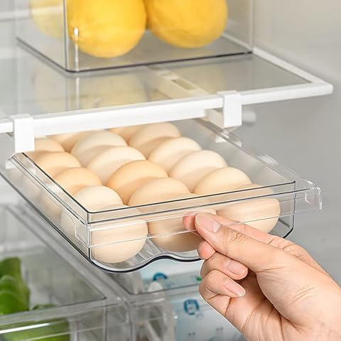 https://us.ftbpic.com/product-amz/fridge-egg-drawer-organizer-holder-trays-for-refrigerator-egg-container/51ap3zZCu8L._AC_SR480,480_.jpg