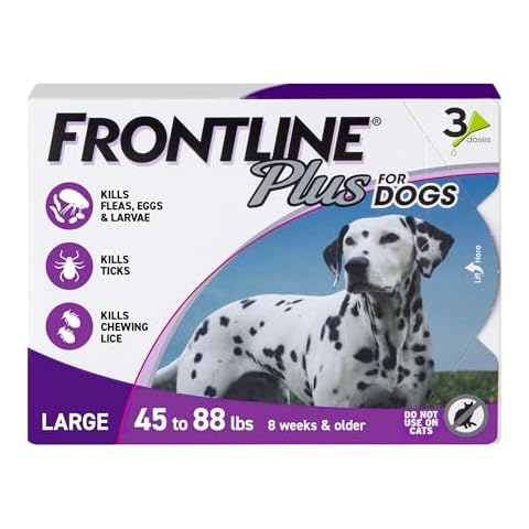 Frontline thumbnail