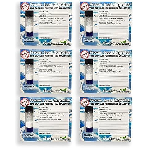 Frozen Seed Capsules feature image