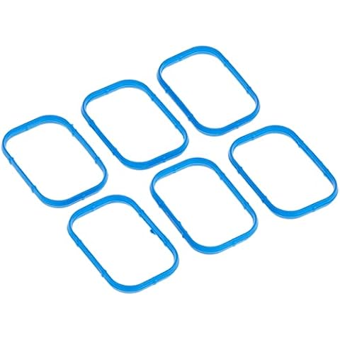 Fuel Injection Plenum Gaskets