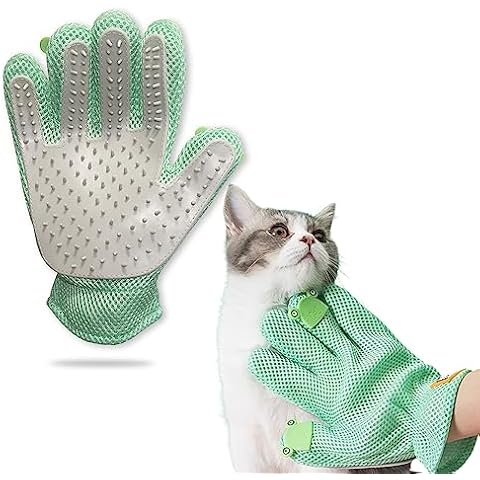 FURBB thumbnail