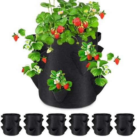 https://us.ftbpic.com/product-amz/future-way-strawberry-grow-bag-10-gallon-fabric-strawberry-planter/51oFbG3-VJL._AC_SR480,480_.jpg