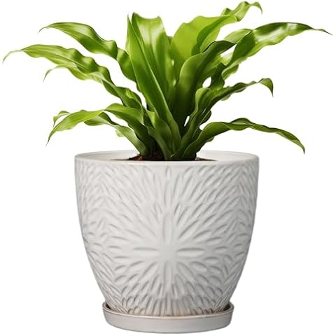 G EPGardening thumbnail