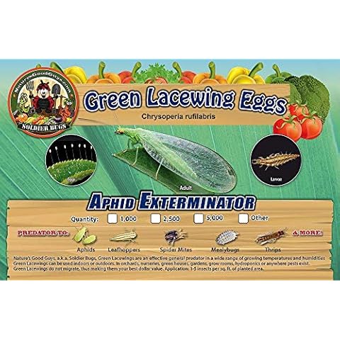 Garden At Home thumbnail