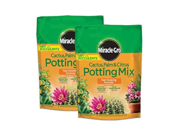 The 10 Best Garden Soil for Cactus of 2026 (Reviews) - FindThisBest