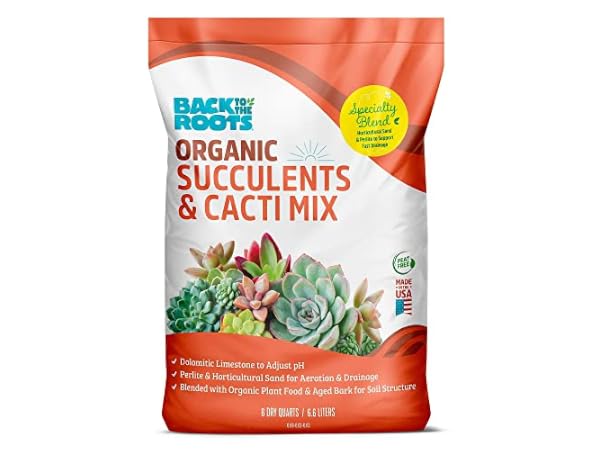 The 10 Best Garden Soil for Succulent of 2025 (Reviews) - FindThisBest