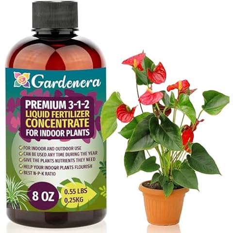 Gardenera feature image