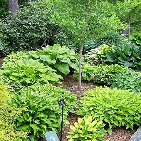 GardeningProducts4Less thumbnail