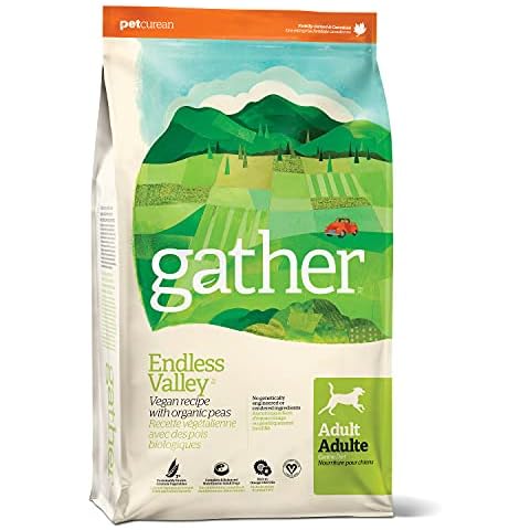 GATHER thumbnail