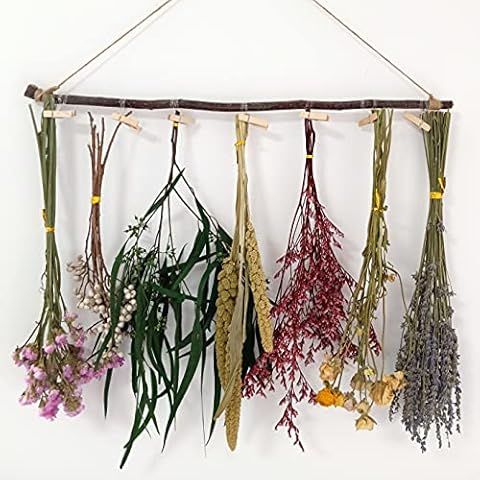 GELINHANYE DECOR thumbnail