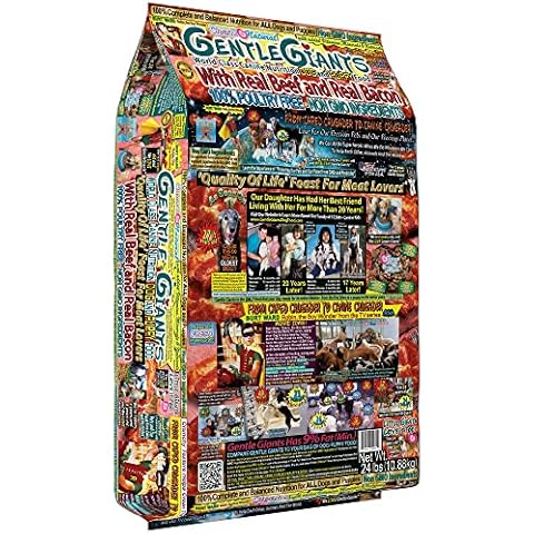 GENTLE GIANTS feature image