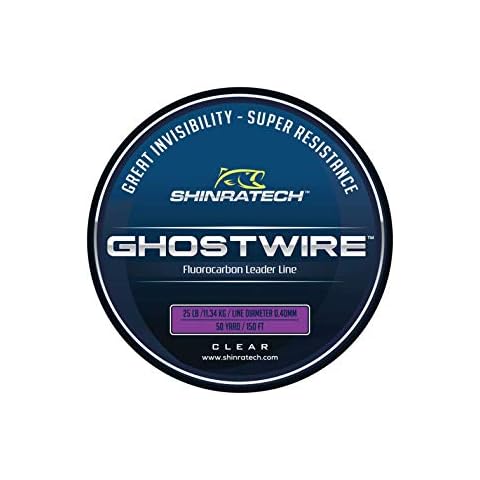GHOSTWIRE thumbnail