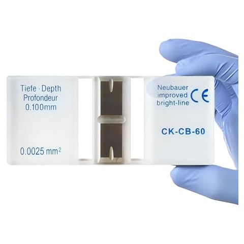 Gintison feature image