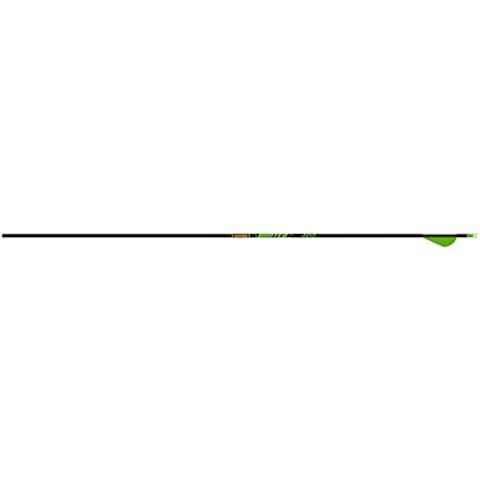 Gold Tip thumbnail