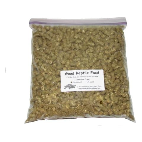 Good Reptile Food thumbnail