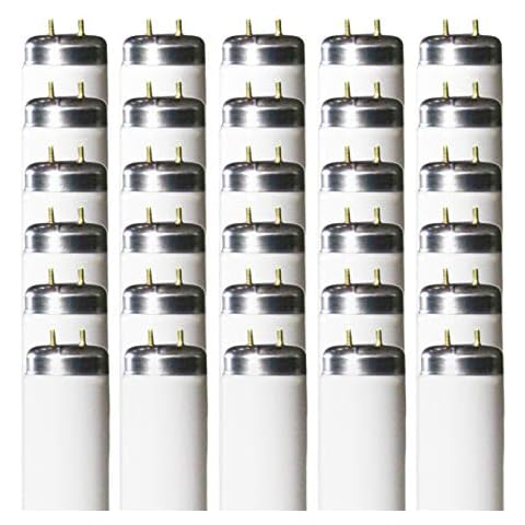 GoodBulb thumbnail