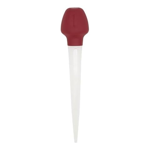 https://us.ftbpic.com/product-amz/goodcook-735533010027-good-cook-115-in-turkey-baster-11-12/21nrOdyFDhL._AC_SR480,480_.jpg