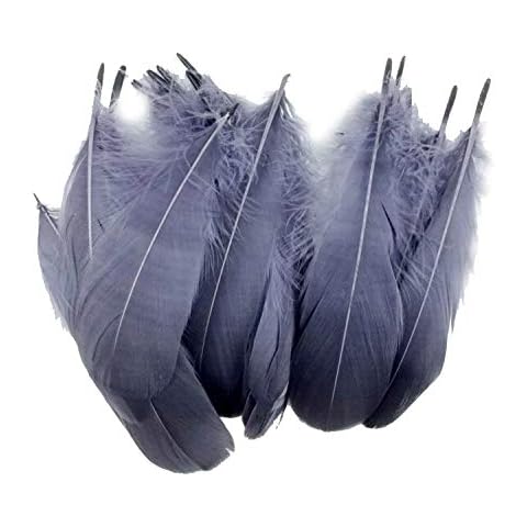 Goose Feathers thumbnail