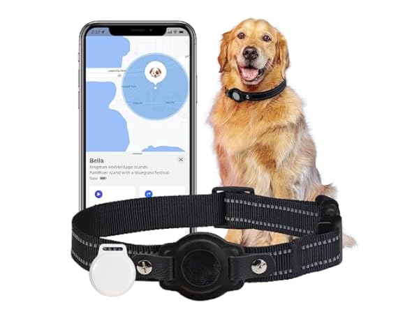 The 8 Best GPS Trackers For Dog Of 2024 (Reviews) - FindThisBest