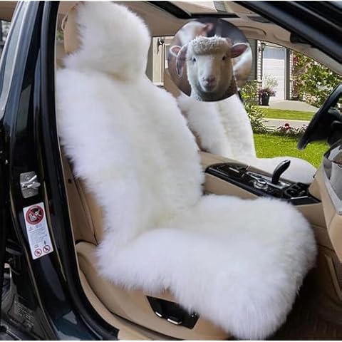 Gracefur feature image