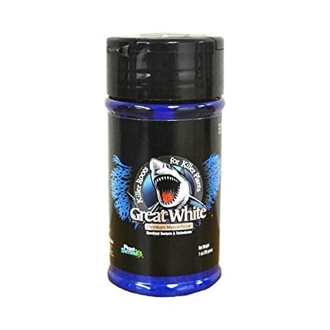 Great White thumbnail