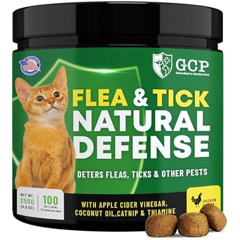 Guardian's Choice thumbnail