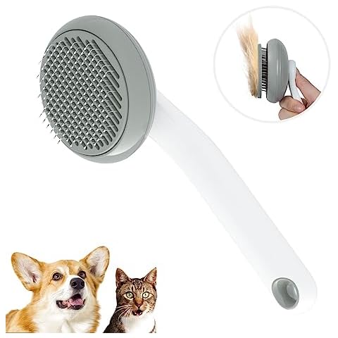 GULIGULI thumbnail