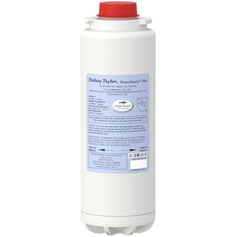 Halsey Taylor thumbnail