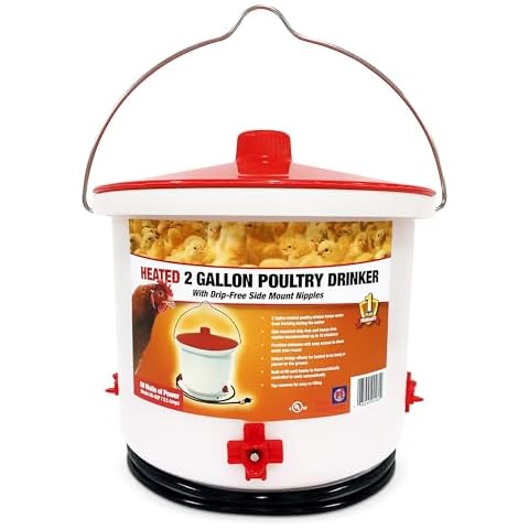 Hanging Chicken Waterers