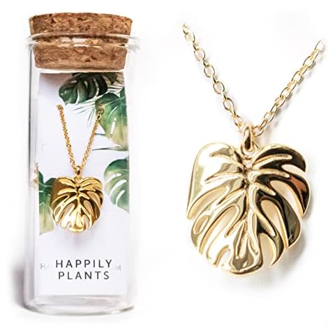 HAPPILY PLANTS thumbnail