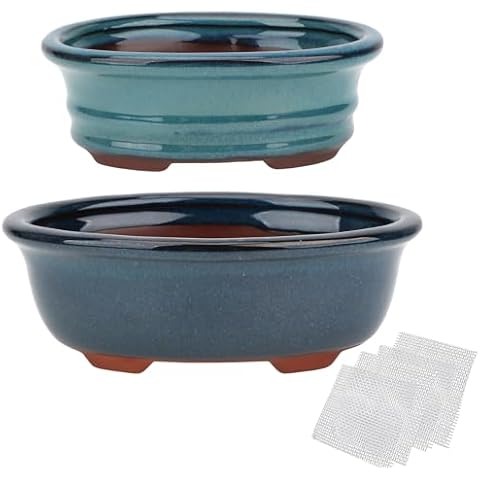 Happy Bonsai thumbnail