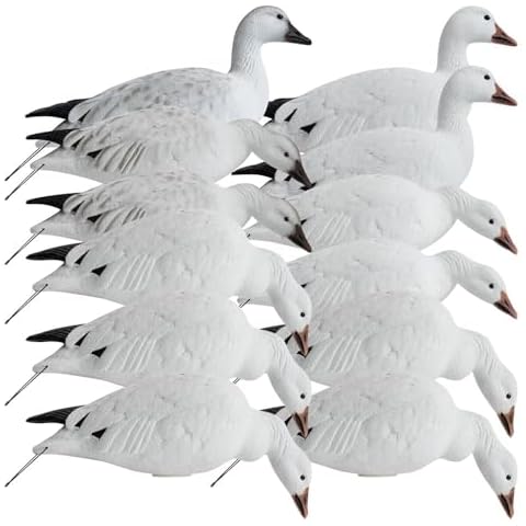 HARD CORE DECOYS thumbnail