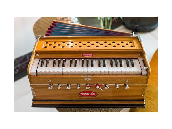 The 10 Best Harmoniums Of 2025 Reviews FindThisBest 41ghoJNis0L. CR0,0,600,450